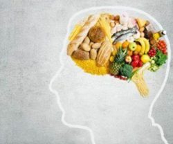 intelligence alimentaire